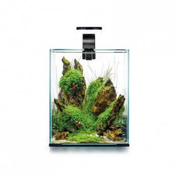 aquael-shrimp-set-smart-daynight-20-white-akvariumas-su-iranga-krevetems-20-l-akvazoo-lt