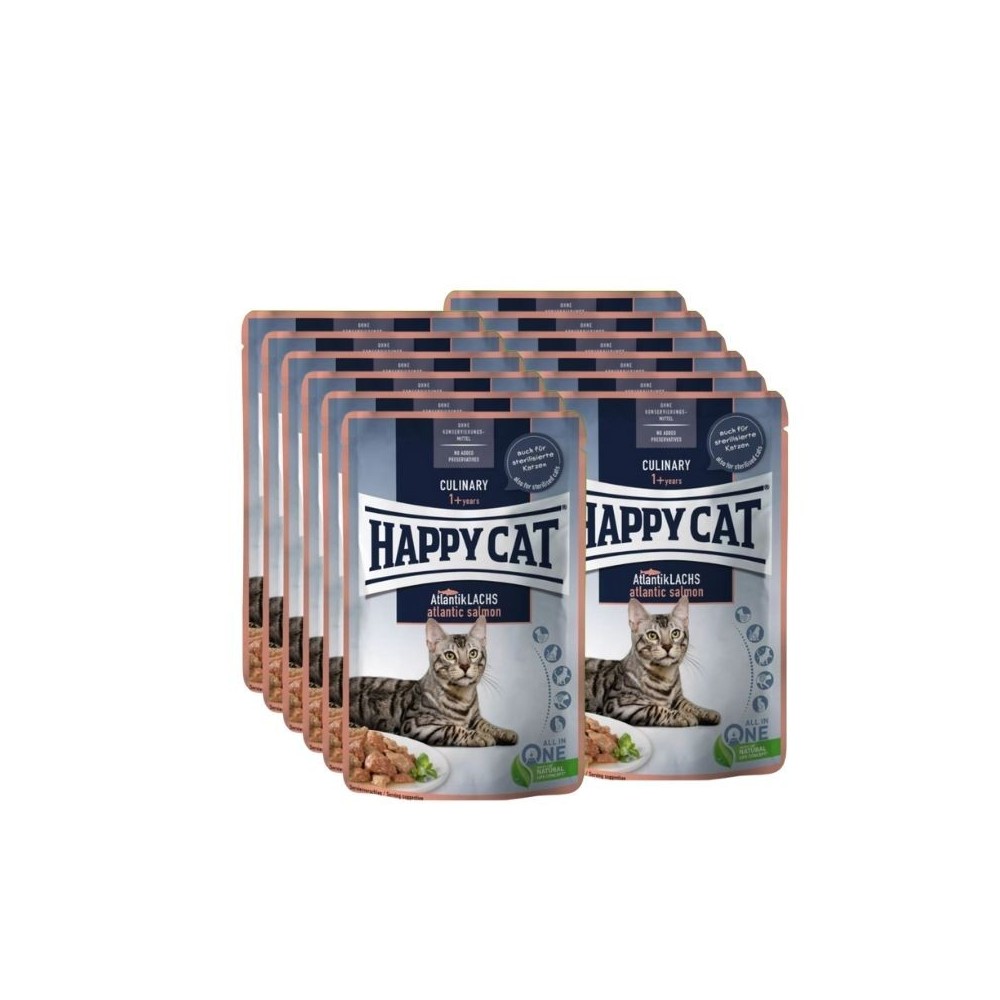 happy-cat-guliasas-katems-su-lasisa-culinary-atlantiklachs-12x85-g-akvazoo