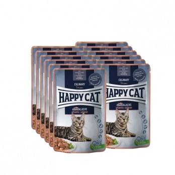 happy-cat-guliasas-katems-su-lasisa-culinary-atlantiklachs-12x85-g-akvazoo