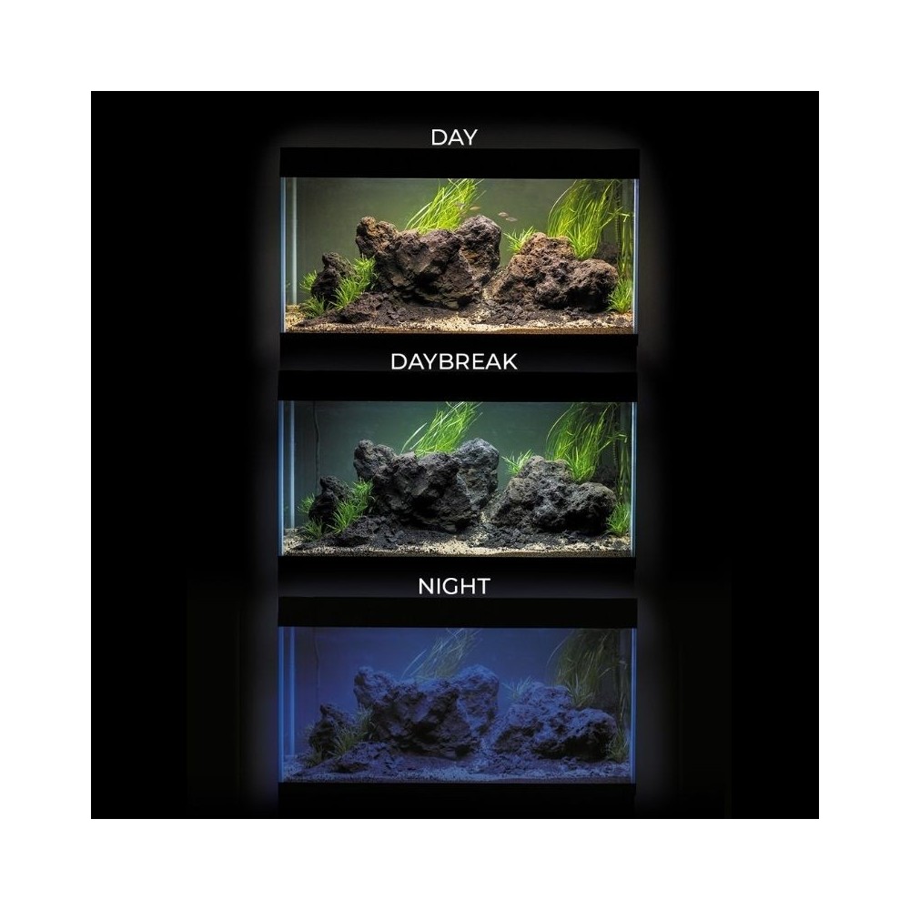 aquael-ultrascape-60-forest-set-60x30x36-cm-648-l-akvazoo