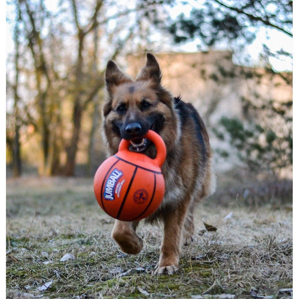 zaislas-sunims-gigwi-jumball-basketball-krepsinio-kamuolys-su-rankena-20-cm-akvazoo