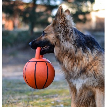 zaislas-sunims-gigwi-jumball-basketball-krepsinio-kamuolys-su-rankena-20-cm-akvazoo