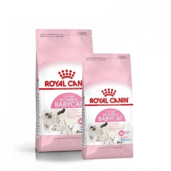 royal-canin-fhn-first-age-mother-and-babycat-pasaras-maitinancioms-katems-ir-kaciukams-akvazoo-lt