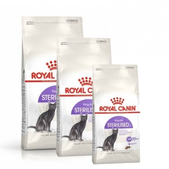 royal-canin-fhn-regular-sterilised-37-maistas-sterilizuotoms-suaugusioms-katems-akvazoo-lt