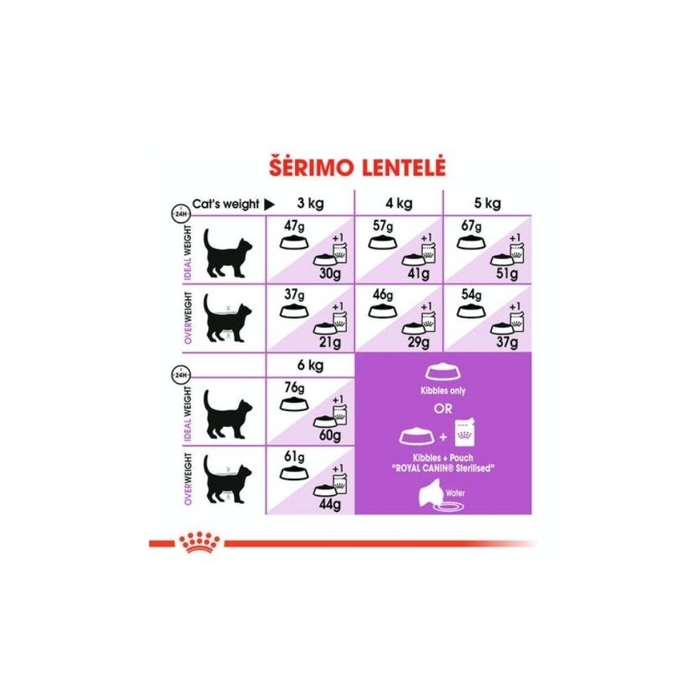 royal-canin-fhn-regular-sterilised-37-maistas-sterilizuotoms-suaugusioms-katems-akvazoo-lt