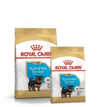 Royal Canin BHN Yorkshire Terrier Junior maistas jauniems šuniukams 0,5 kg