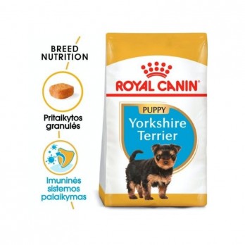 Royal Canin BHN Yorkshire Terrier Junior maistas jauniems šuniukams 0,5 kg