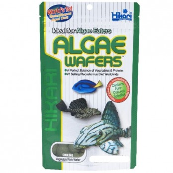 Hikari Algae Wafers visavertis pašaras dugninėms žuvims 1 kg