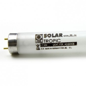 Solar Tropic lempa T8, 30 W, 895 mm