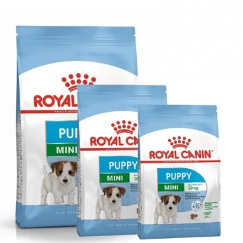 Royal Canin SHN MINI Puppy maistas jauniems šuniukams 0,8 kg