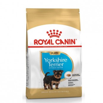 Royal Canin BHN Yorkshire Terrier Junior maistas jauniems šuniukams 0,5 kg