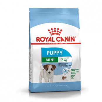 Royal Canin SHN MINI Puppy maistas jauniems šuniukams 0,8 kg