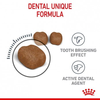 Royal Canin FCN Dental maistas suaugusioms katėms dantų akmenų formavimosi mažinimui 0,4 kg