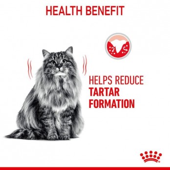 Royal Canin FCN Dental maistas suaugusioms katėms dantų akmenų formavimosi mažinimui 0,4 kg