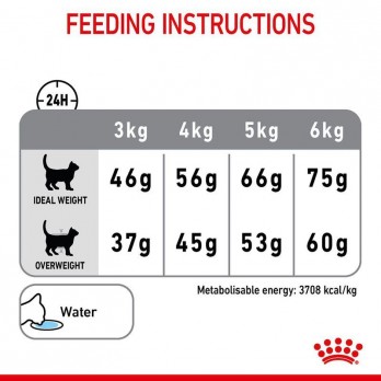 Royal Canin FCN Dental maistas suaugusioms katėms dantų akmenų formavimosi mažinimui 0,4 kg