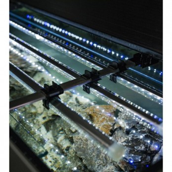Glossy 80 akvariumas stačiakampis, pilkas, 80x35x50 cm
