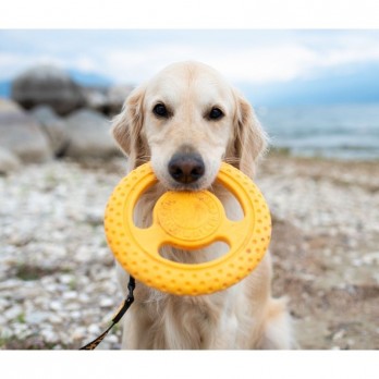 Žaislas šunims Frisbee guminė skraidanti lėkštė, oranžinė, 22 cm, maxi