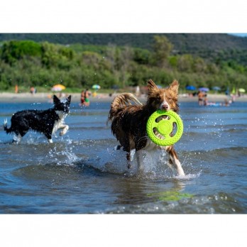 Žaislas šunims Frisbee guminė skraidanti lėkštė, oranžinė, 22 cm, maxi