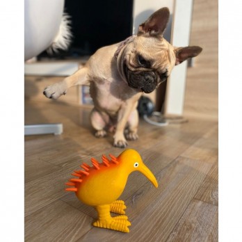 Žaislas šunims lateksinis cypiantis kivis, oranžinis, 8,5 cm, S