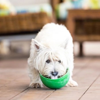 Laižymo dubenėlis LickiMat Dog Wobble, oranžinis