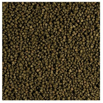 Koi Wheat Germ & Garlic Pellet S pašaras Koi karpiams, 1000 ml