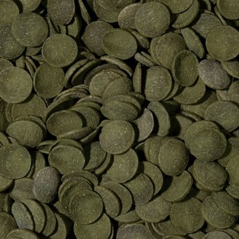 Green Algae Wafers pašaras dugninėms žuvims 250 ml + 10%